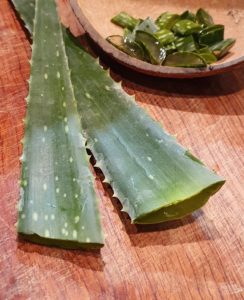 Aloe Vera